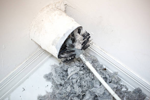 Best Ventilation Cleaning Services  in Mesa, AZ